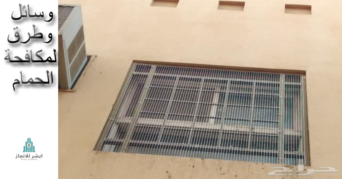 وسائل وطرق لمكافحة الحمام