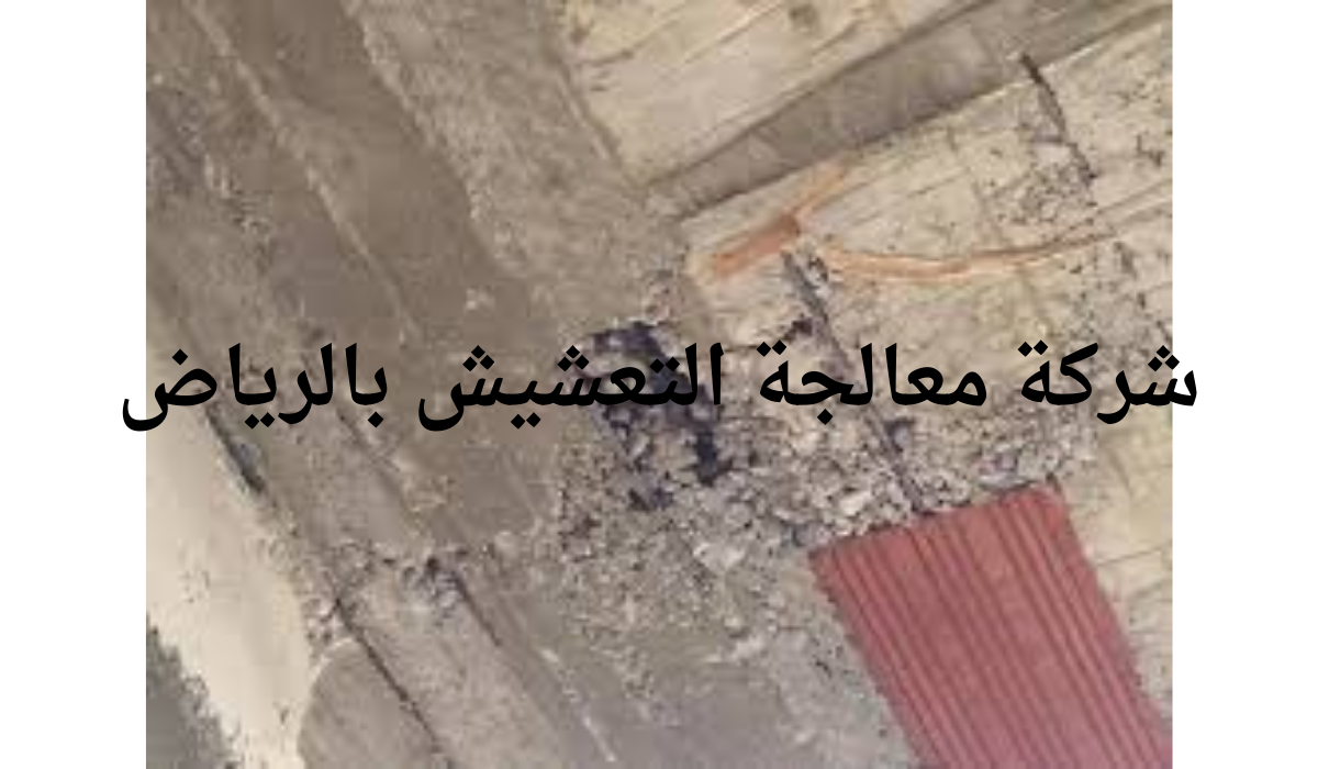 شركة معالجة التعشيش بالرياض